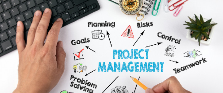 Curs:  	Manager de Proiect