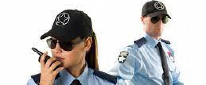 Curs: Agent de Securitate